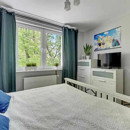 Dream Apartments- Alpha Sopoty