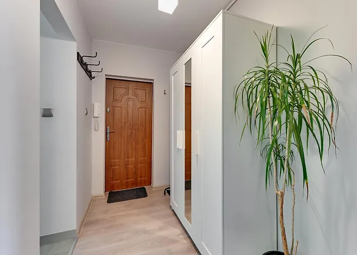 Dream Apartments- Alpha Apartmán